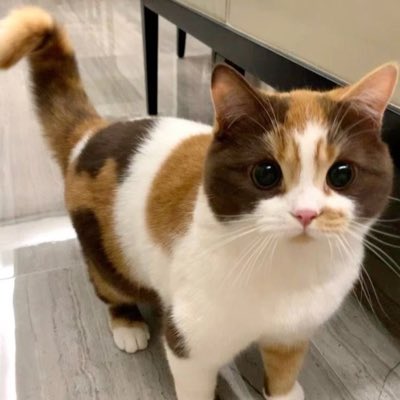 VersaFN8's tweet image. #NewProfilePic