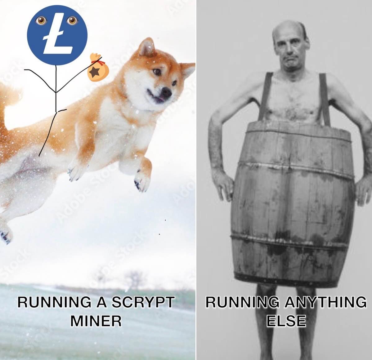 Litecoin (@litecoin) on Twitter photo 