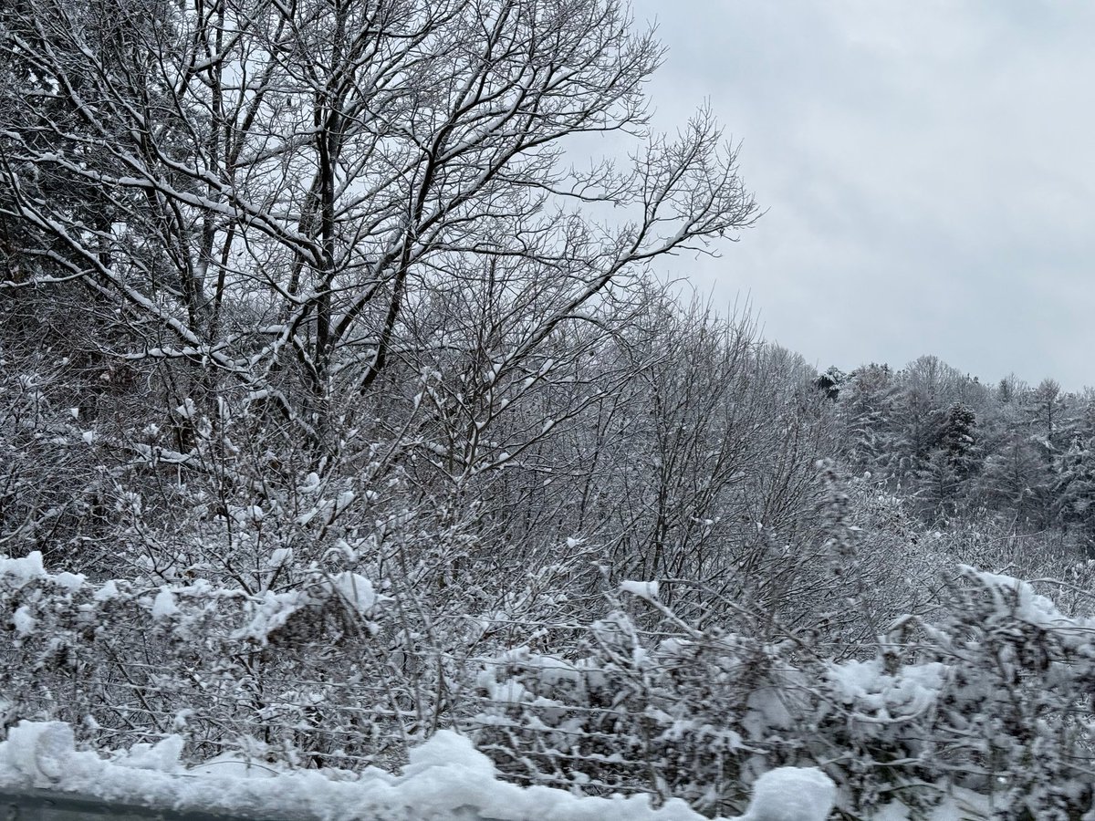 잘 지내고 있어요?
눈 온 거 봤어요?
이제 겨울 시작입니다❄️
아미들끼리 잘 놀고 있어요 내년이면 방탄 끼워서 또 바쁘게 놀아봅시다아? 응? 응?🥹