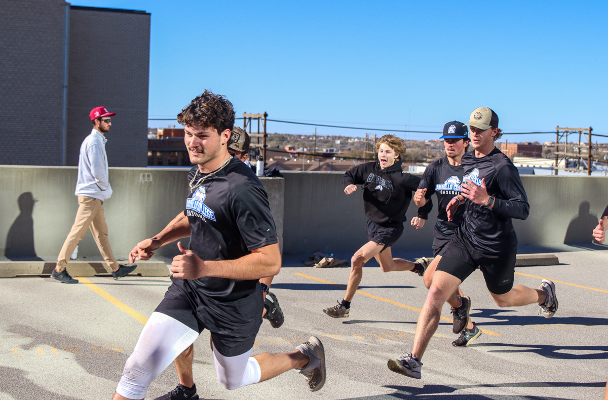 Amarillo College Baseball tweet media