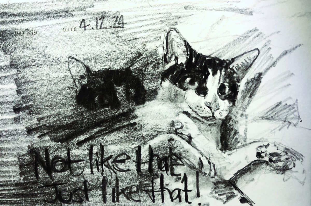 Venster67's tweet image. One Sketch A Day 4.12.24
‘Not like that, just like that!’
#notlikethatjustlikethat #tommycooper #catstudy #catdrawing #onesketchaday #sketchbook #visualdiary #art #illustration #pencilsketch