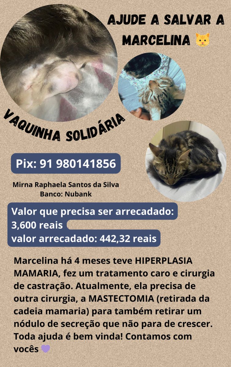 nikobinho_'s tweet photo. Ajudem a Marcelina!! Compartilhe ou doe qualquer valor, por favor 🙏🙏

#RetrospectivaSpotify 
Soobin
Kim Seokjin
#SpotifyWrapped https://t.co/mV8R9cCWch