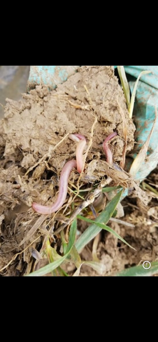 Happy world soils day #WorldSoilDay you continue to fascinate me