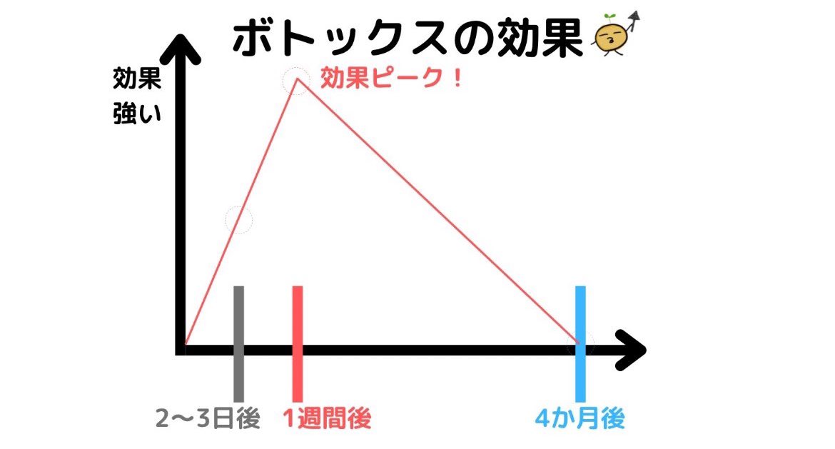 biyouiryou100's tweet photo. Xやって良かったのはこれに出会えたこと

1枚目→ボトックスの種類価格まとめ
2枚目→ボトックスの真実まとめ
3枚目→ボトックスの必要注入量
4枚目→ボトックスの効果曲線

補足
年間使用量が500単位超えで抗体出来て効かなくなる。出来てしまったら10〜36ヶ���待つ。ボトックスは管理重要でおすすめ�� https://t.co/LluwfQrJDe