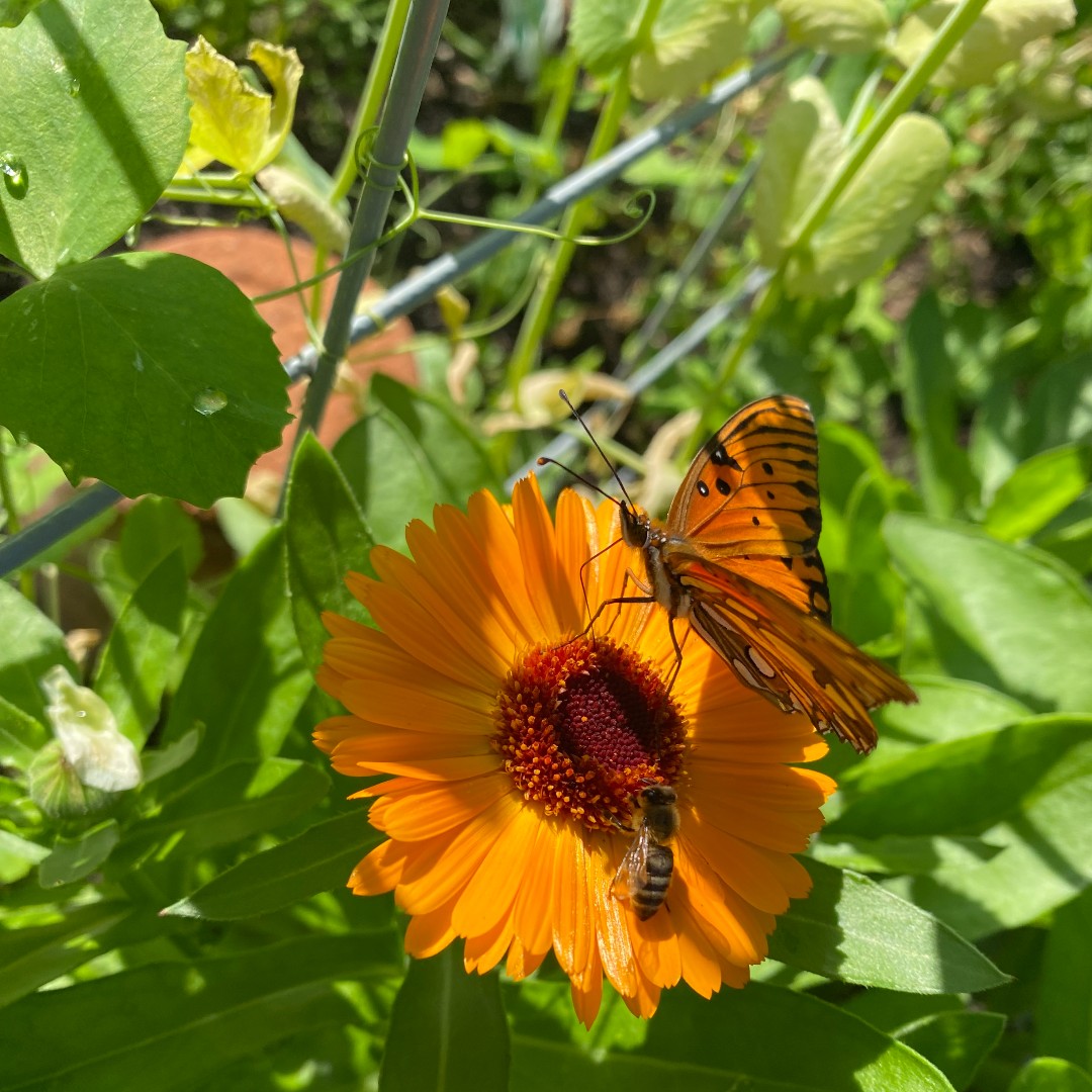 Ground Education tweet media