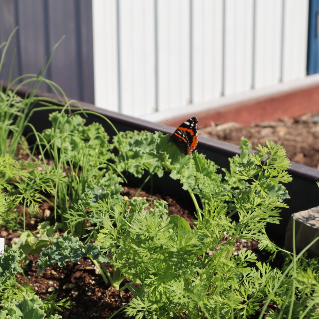 Ground Education tweet media