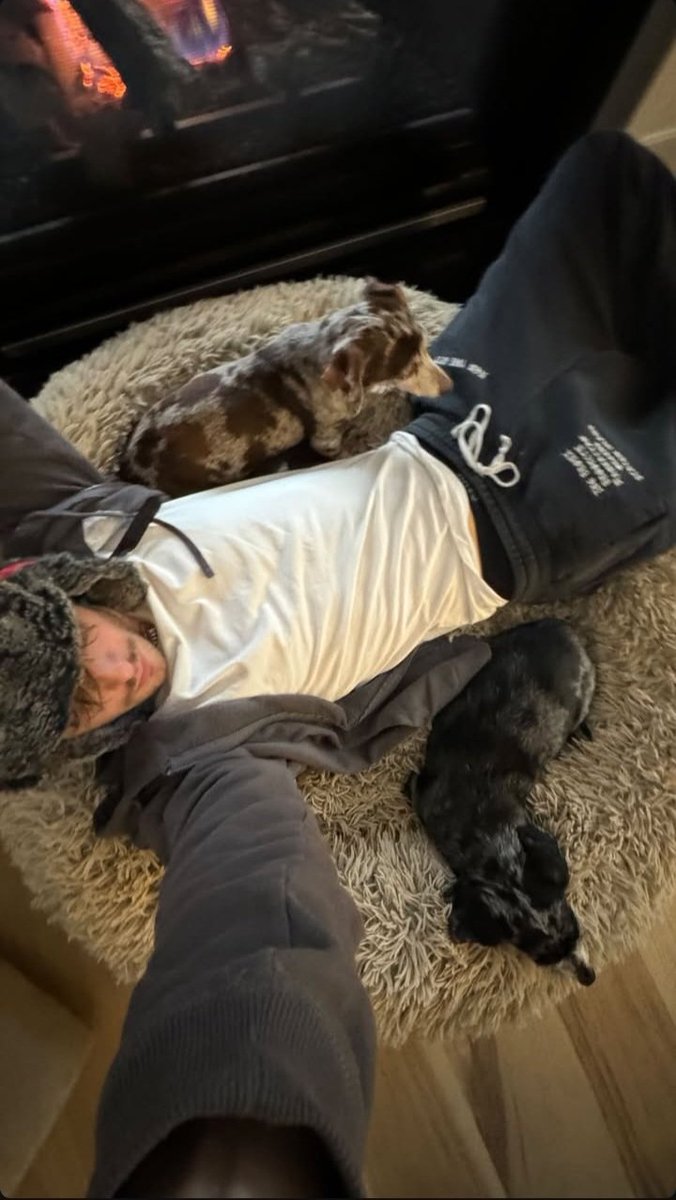 raven_j2's tweet photo. OK. NOW I WANNA BE A DOG https://t.co/70ySmA8cGe