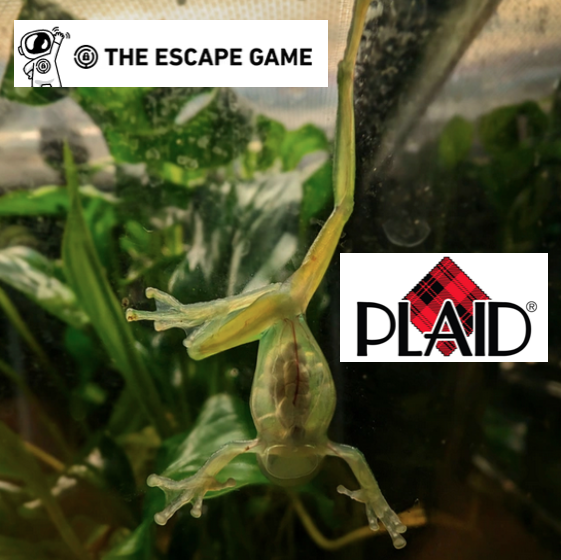 amphibianfound's tweet photo. Get #CreativeAF and look at things from a different angle with offerings from @TheEscapeGame and @PlaidCrafts! Register now at the link below to join us for our free in-person Open House on December 6 and bid on these great giftables!

https://t.co/RzzSVj253N https://t.co/WCDh76CeSl