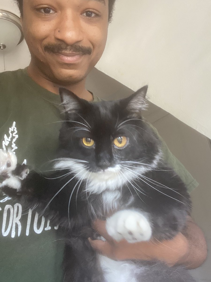 headlessmascot's tweet photo. Hella kitty friends over here https://t.co/Wk0K4uR3k9