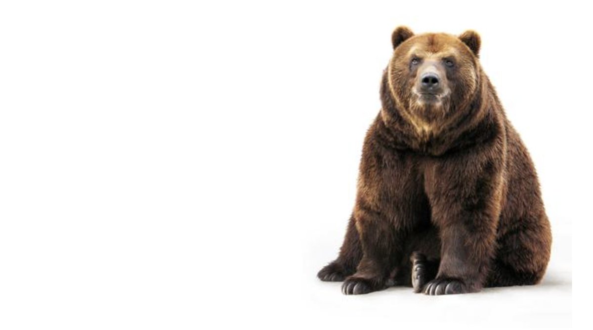 TeacherToolkit's tweet image. Today, supporting teachers at Newport Girls' High in Shropshire.
Exploring working memory, metacognition and cognitive apprenticeship; those who know what this bear likes to do, are in the know. #GuideToMemory
#TTkitCPD #Shropshire
@NGHS_Info