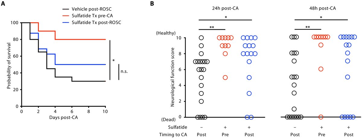 Diverse natural killer T cells regulate innate immunity to improve neurological outcomes and survival after cardiac arrest <a href="/ScienceTM/">Science Translational Medicine</a> <a href="/EdyKim5/">Edy Kim</a>
science.org/doi/10.1126/sc…