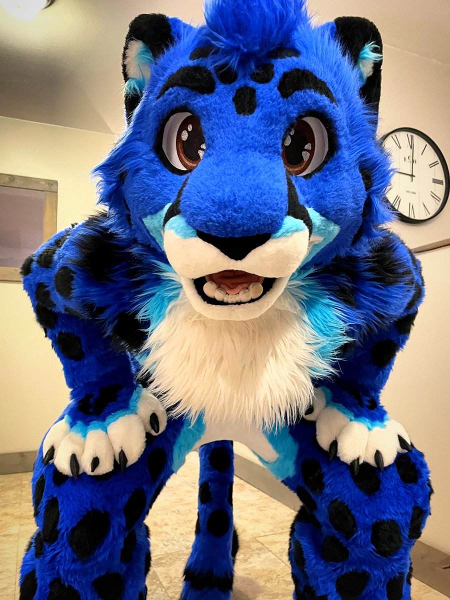HEY YOU! Good mews! It’s International Cheetah Day! 😸🔊

But bad news - Cheetahs are at a high risk of extinction. Which is why to acknowledge today, I encourage you all to donate to <a href="/CCFCheetah/">Cheetah Conservation Fund</a> to #SaveTheCheetah, if you are able! 😻💙
