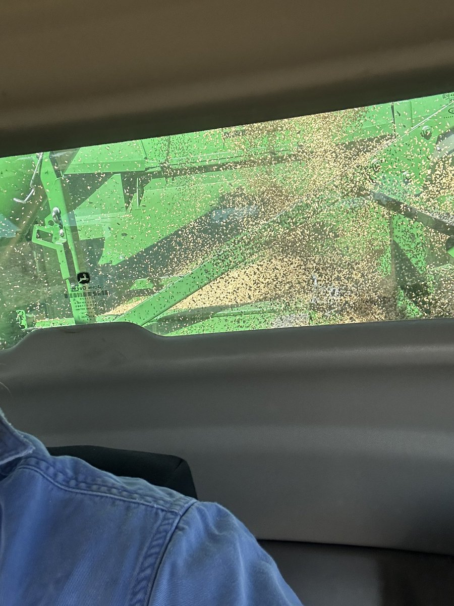 Nice clean grain tank window. 
IYKYK