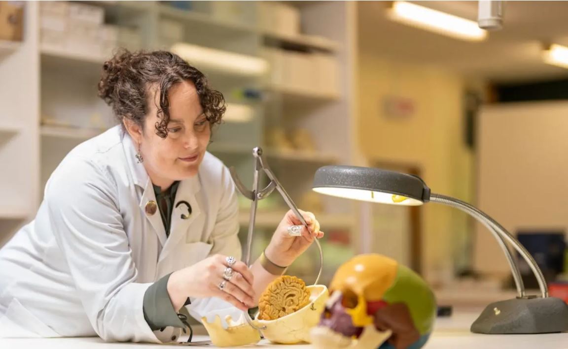 ANU School of Archaeology & Anthropology (@archanthanu) on Twitter photo In a first-of-its-kind ANU study, SoAA PhD scholar <a href="/PalaeoNeuro/">Dr Alannah Pearson (Any)πππ§ π»π³οΈβπ</a> used CT scans to compare 3D virtual skulls of several of our earliest ancestors, as well as all living species of great apes π· This new study appeared in <a href="/AmJBioAnth/">American Journal of Biological Anthropology</a> π πquicklink.anu.edu.au/5zcu In a first-of-its-kind ANU study, SoAA PhD scholar <a href="/PalaeoNeuro/">Dr Alannah Pearson (Any)πππ§ π»π³οΈβπ</a> used CT scans to compare 3D virtual skulls of several of our earliest ancestors, as well as all living species of great apes π· This new study appeared in <a href="/AmJBioAnth/">American Journal of Biological Anthropology</a> π πquicklink.anu.edu.au/5zcu