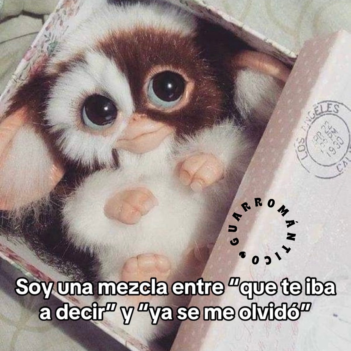 Guarromantico_'s tweet photo. Soy ese. https://t.co/w88JIQqcrJ