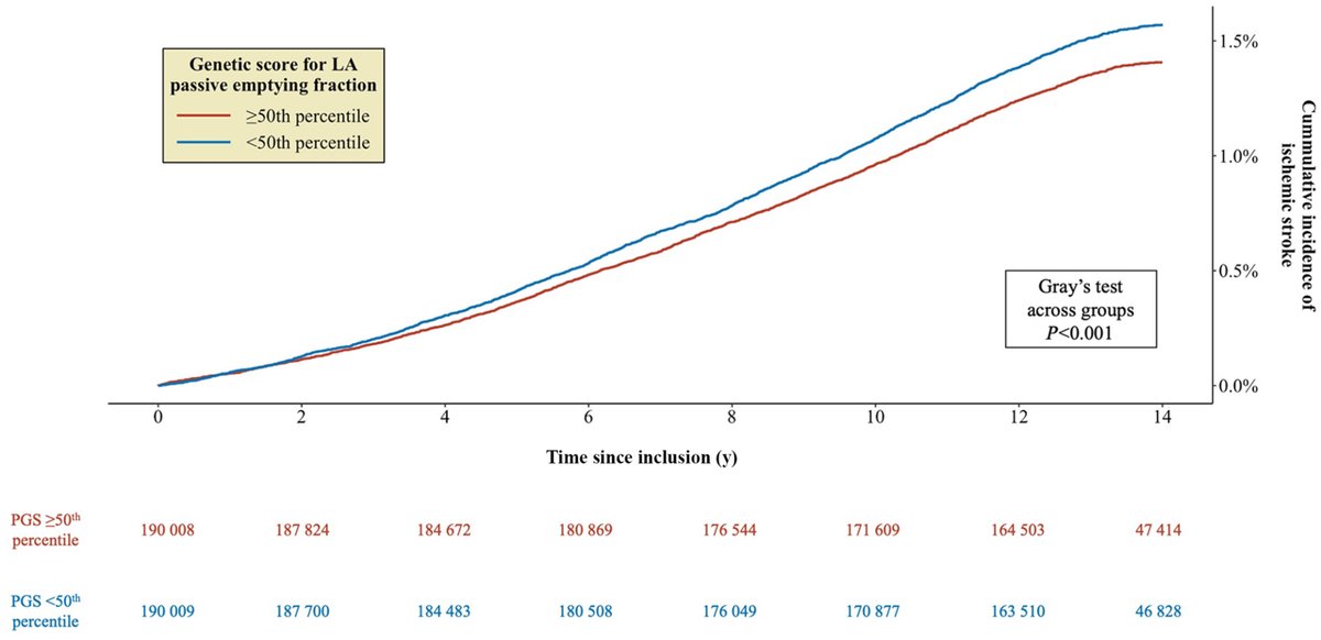 Genetic determinants of left atrial function associated with ischemic stroke, considering AF as a competing risk. #AHAJournals <a href="/Oliver_B_Vad/">Oliver Bundgaard Vad</a> @BiomedUCPH <a href="/RigsHeart/">RigsHeart 🫀🚨</a> ahajrnls.org/3VpPi8C