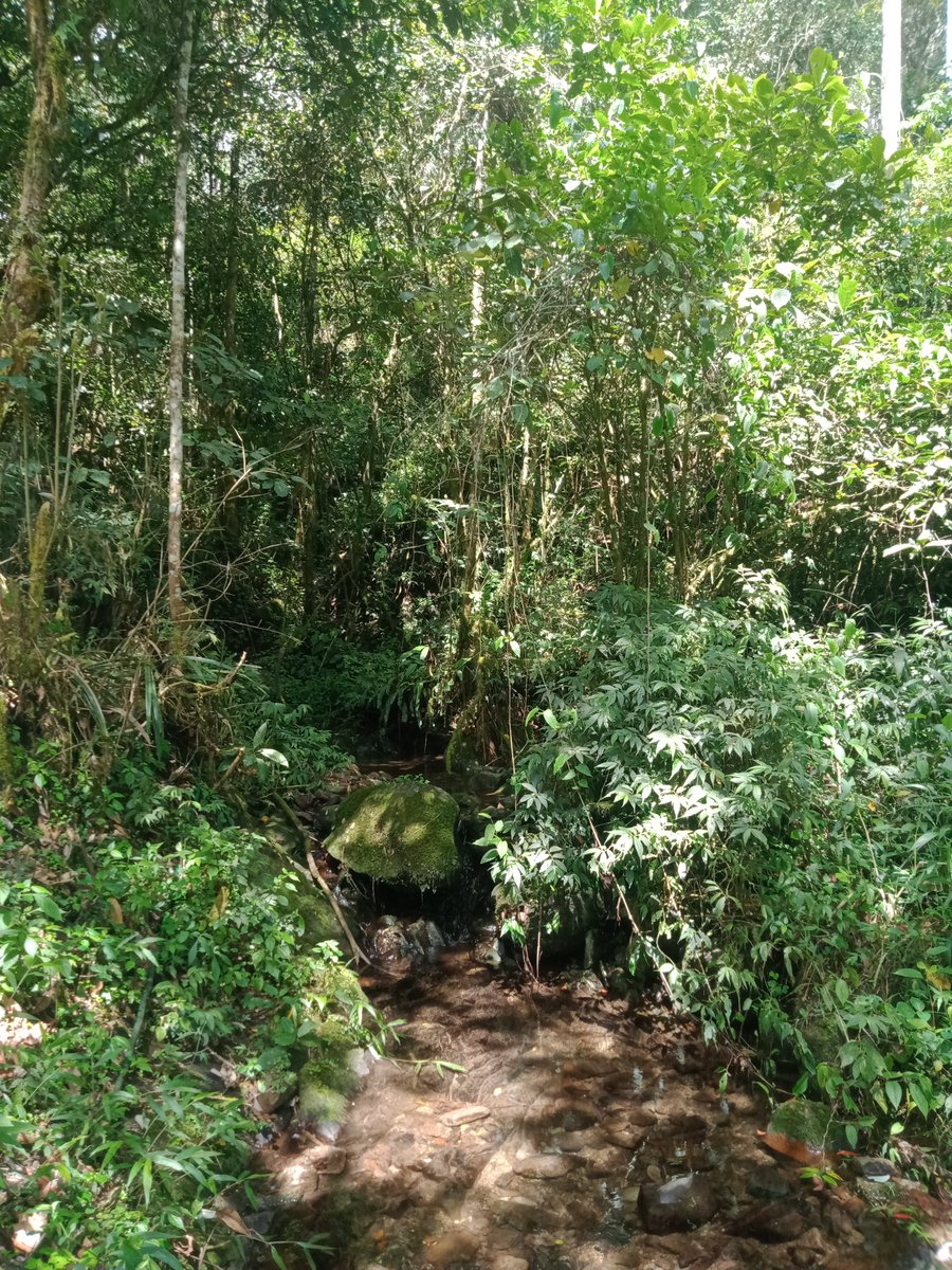 sidesa57's tweet photo. Ada kha outdoor 
#gaymakassar #gaygowa
#gaylokal https://t.co/AFj2I8uCe3