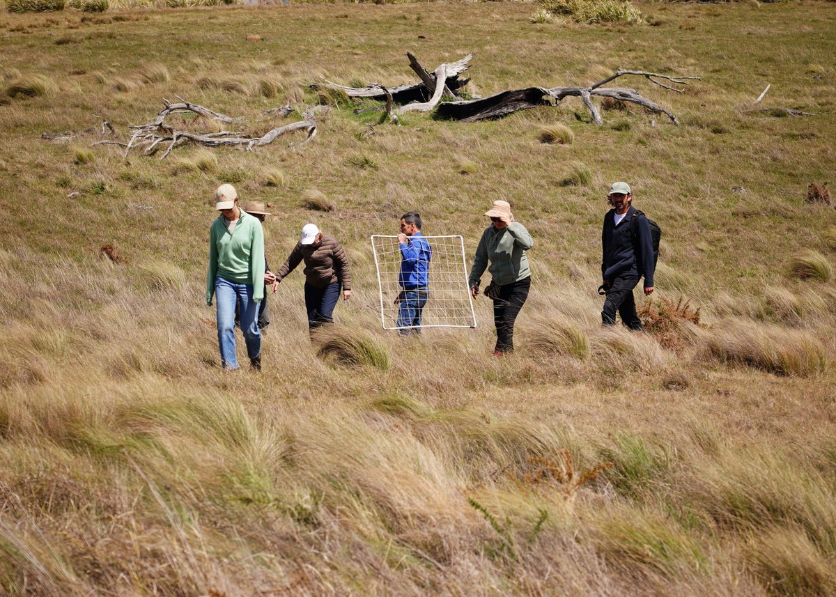 Tas_Land's tweet photo. #PhD student, Natasha Stoudmann recently presented to the #MidlandsConservationPartnership her newly published results demonstrating MCP’s positive impact on the condition of #nativegrasslands.
'Conservation in agricultural landscapes: Impact of privately managed interventions on habitat condition and woody cover' was co-published with TLC's Pierre Defourny, @BushHeritageAus Matt Appleby, Jason Byrne and Vanessa Adams.
Read it via Science Direct at: https://t.co/6LTY6qm9f4