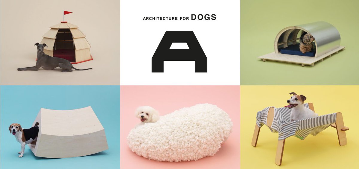 DesignApplause's tweet image. A shared habitat, a common vision.
Discover the Architecture for DOGS exhibition 🐾 @adidesignmuseum 

adidesignmuseum.org/en/exhibition/…

until February 16, 2025

#pettecture #architecturefordogs #adidesignmuseum #design #milan