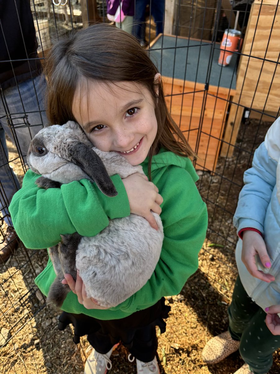 DcesDragons's tweet photo. What a wonderful day at Jack’s Creek Farm for our First Graders 🌲 The chilly weather was no match for the joy and excitement of engaging in fun farm activities and interacting with adorable animals. It was a memorable experience for all! #fieldtripfun #dcesdragons https://t.co/UhKDopd9iZ