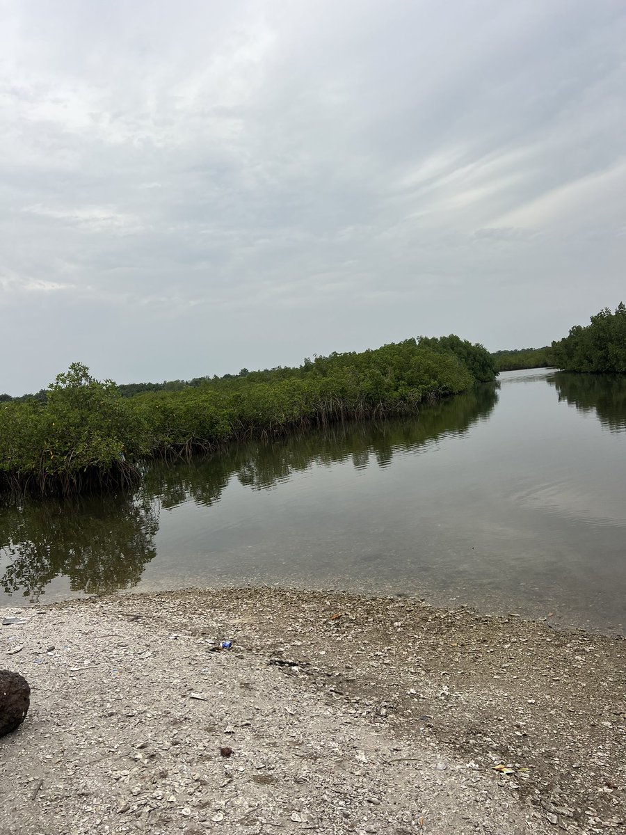 Have faith and be forever grateful