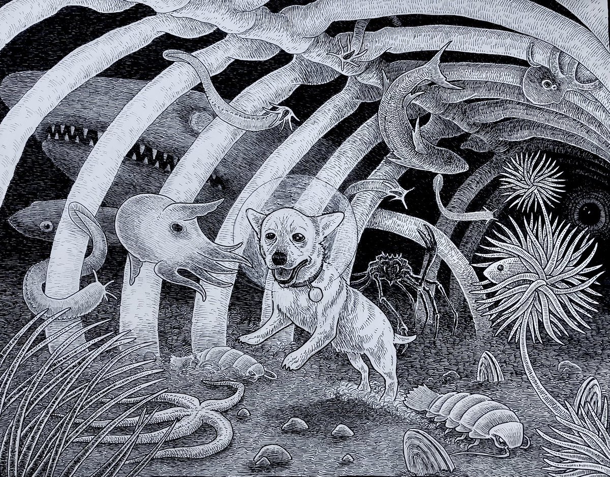 Justin McElroy tweet media