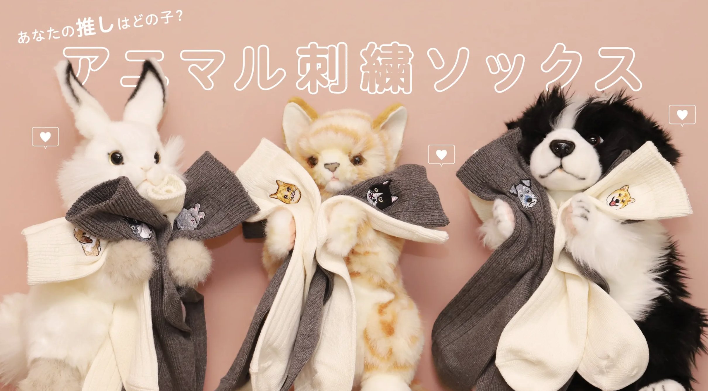 Tabio 靴下屋 on X: 