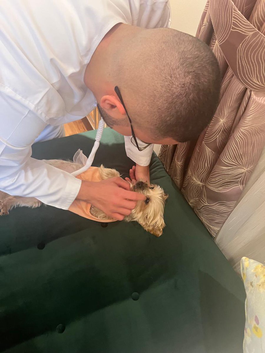 pizza cake >>>>>> any other cake