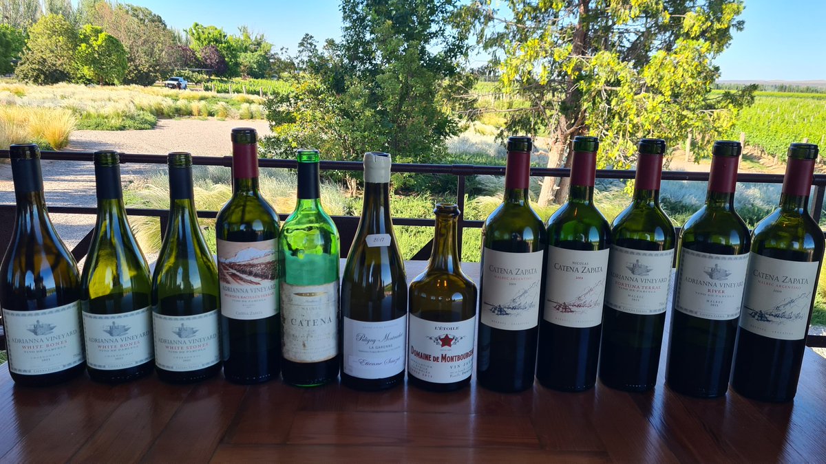 Micael Lee tweet media