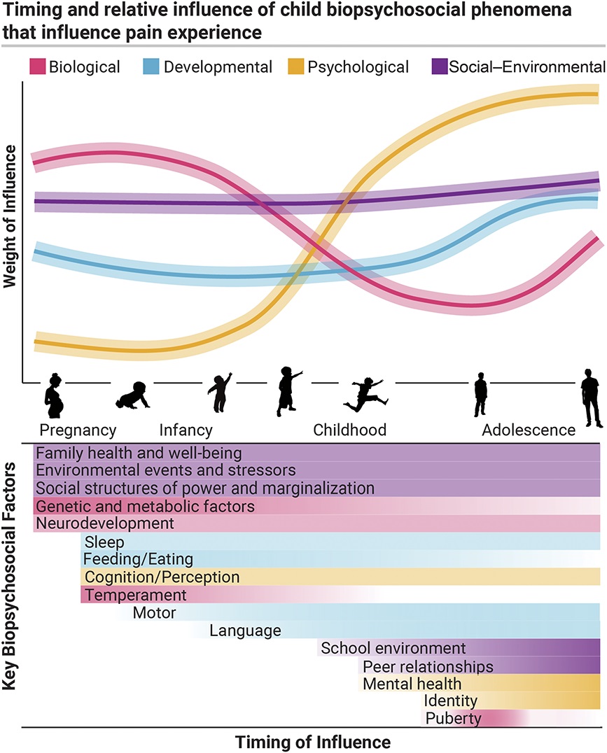 The relationship between biopsychosocial developmental factors &amp; pain.
journals.lww.com/pain/fulltext/…