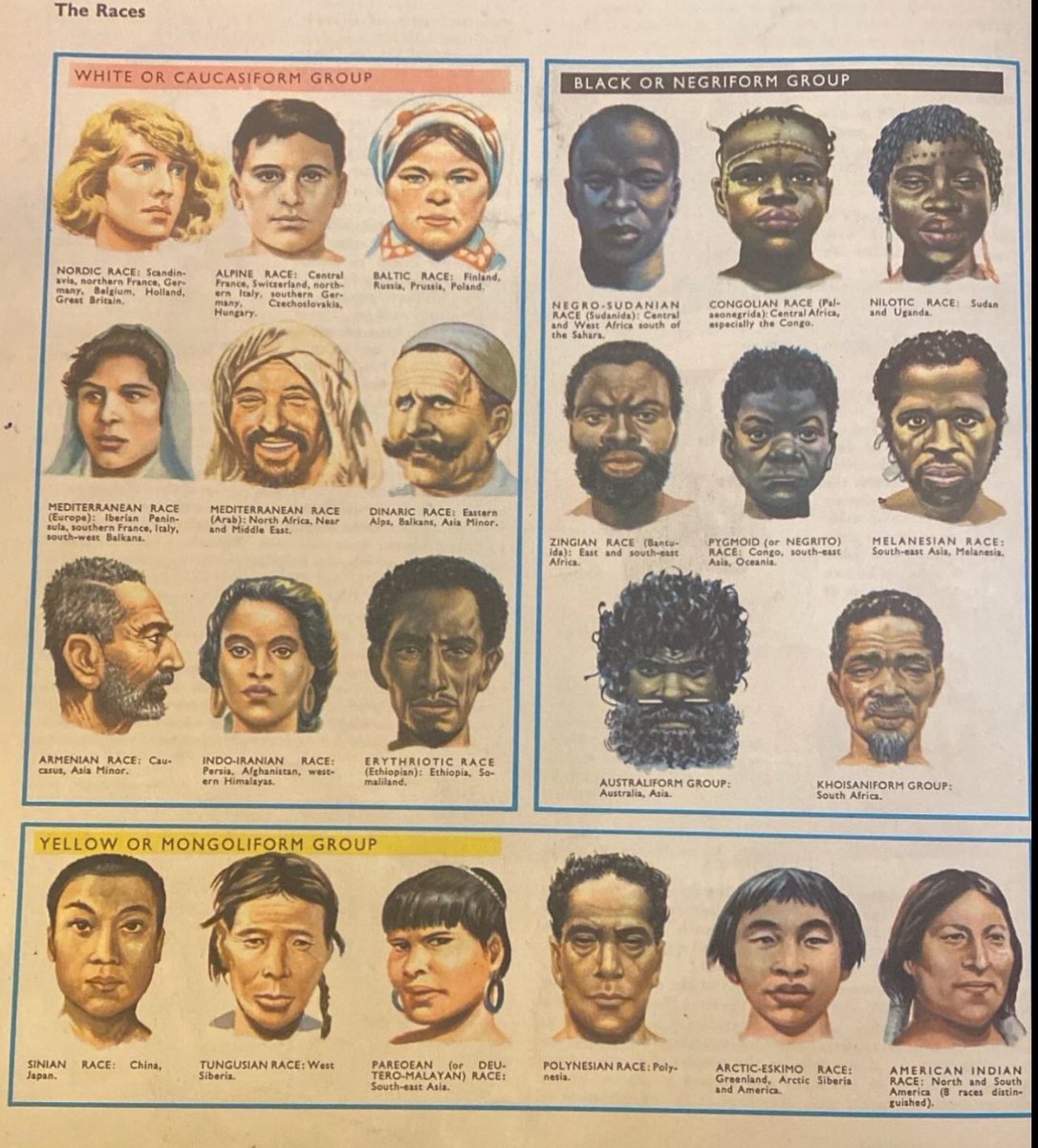 Zvbear's tweet photo. According to this I’m a Noble Aryan https://t.co/LuChtvbAZw