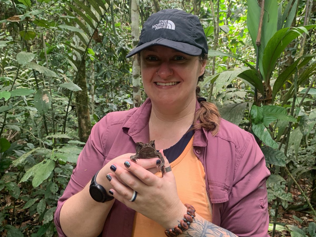 Colorado Mesa University tweet media