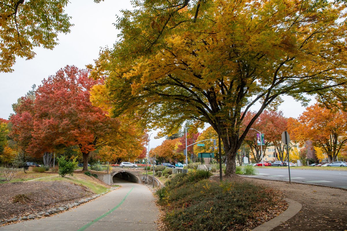 sacstate's tweet photo. Nothing beats the beauty of fall on campus! ππ
#FallingforSacState
πΈ Sacramento State/Andrea Price & Bibiana Ortiz https://t.co/MOyacGk4Ga