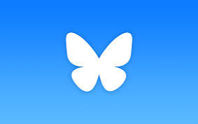 Camille Perrin tweet media