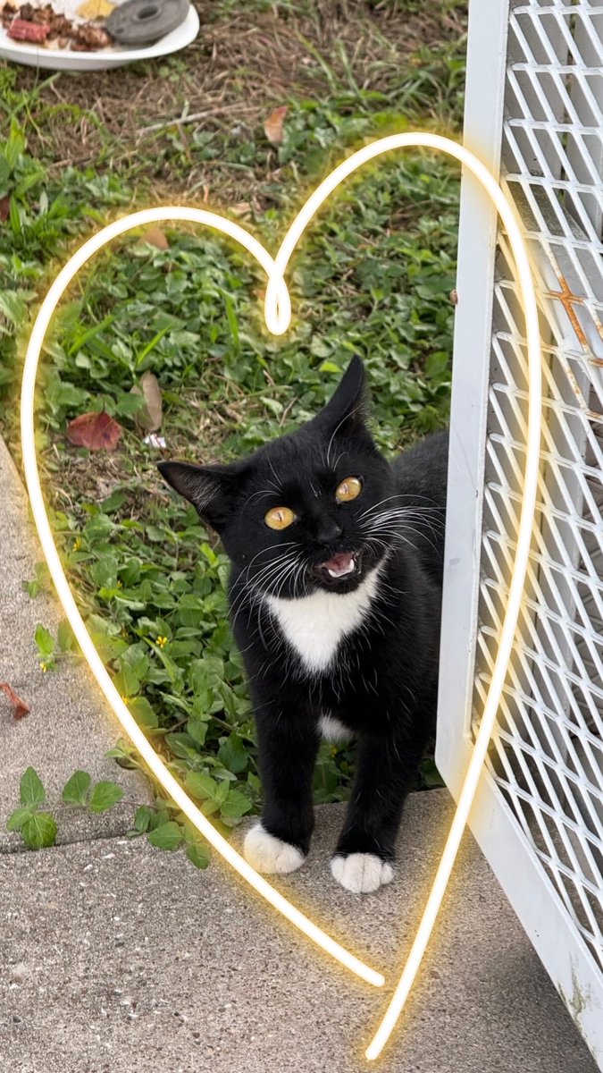 Hooked up the lil homie at Dollar General today. 

#HappyThanksgiving