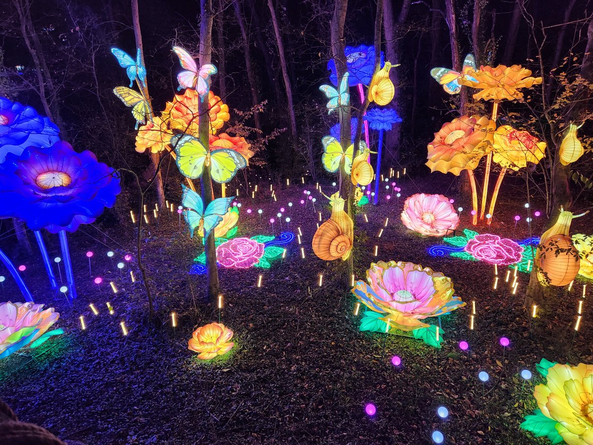 Nashville Tennessee tweet media