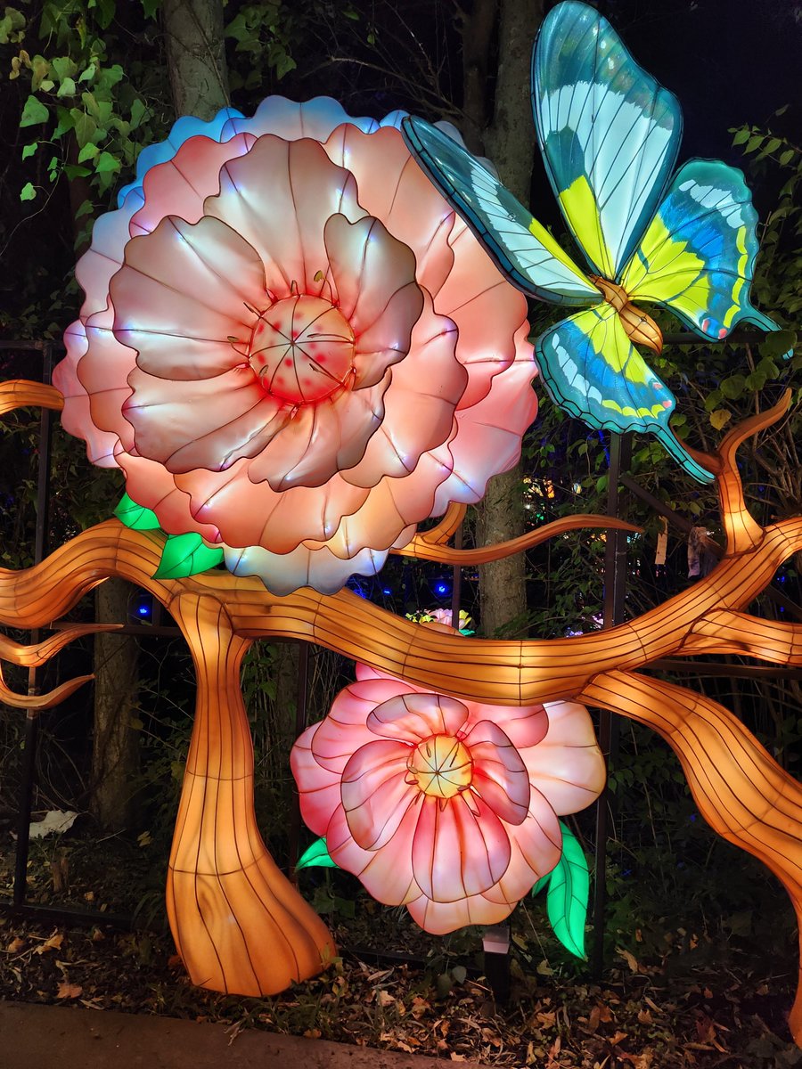 Nashville Tennessee tweet media