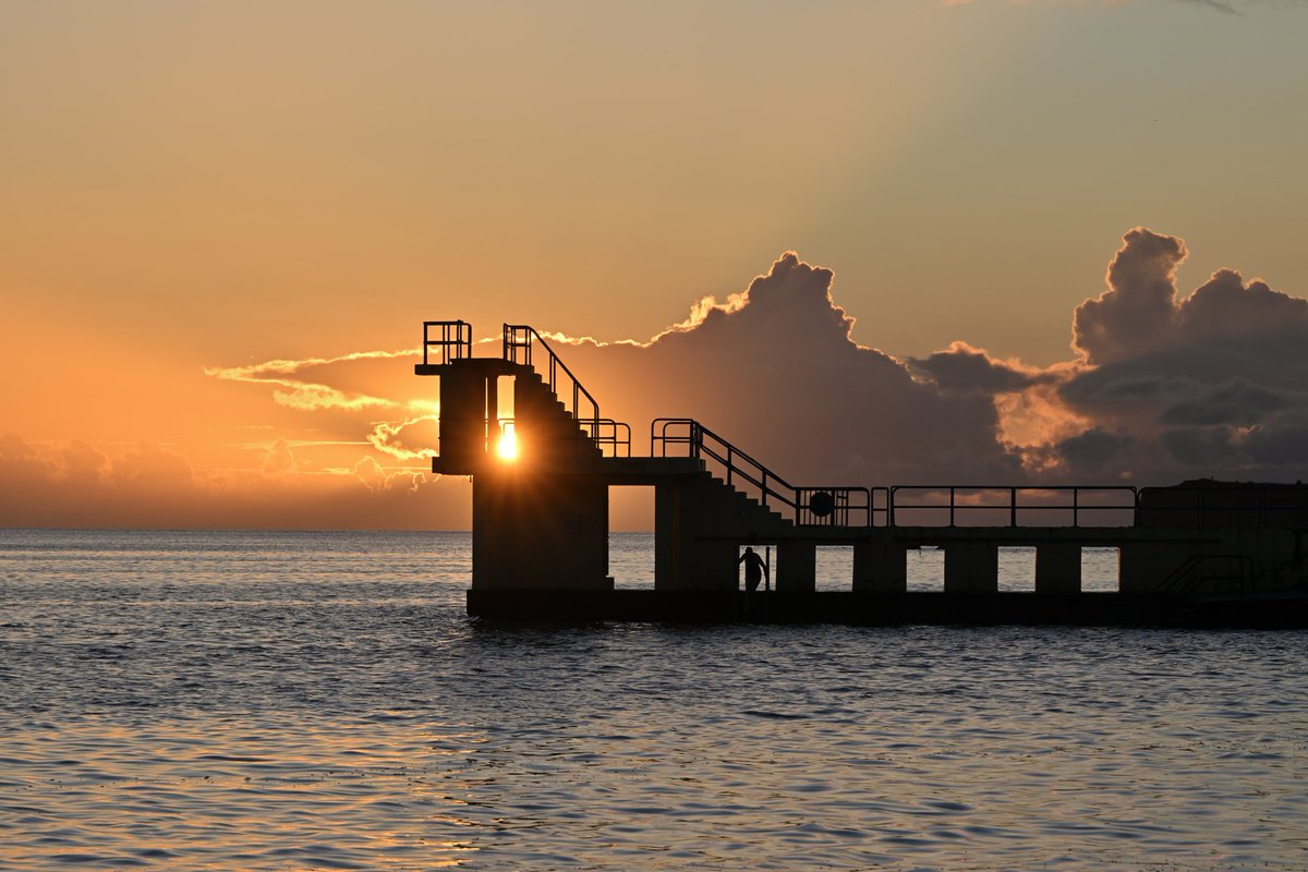 A lamp created by nature