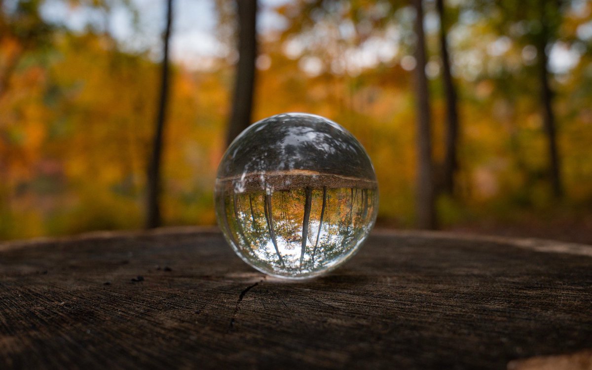 Manatwork2's tweet image. 