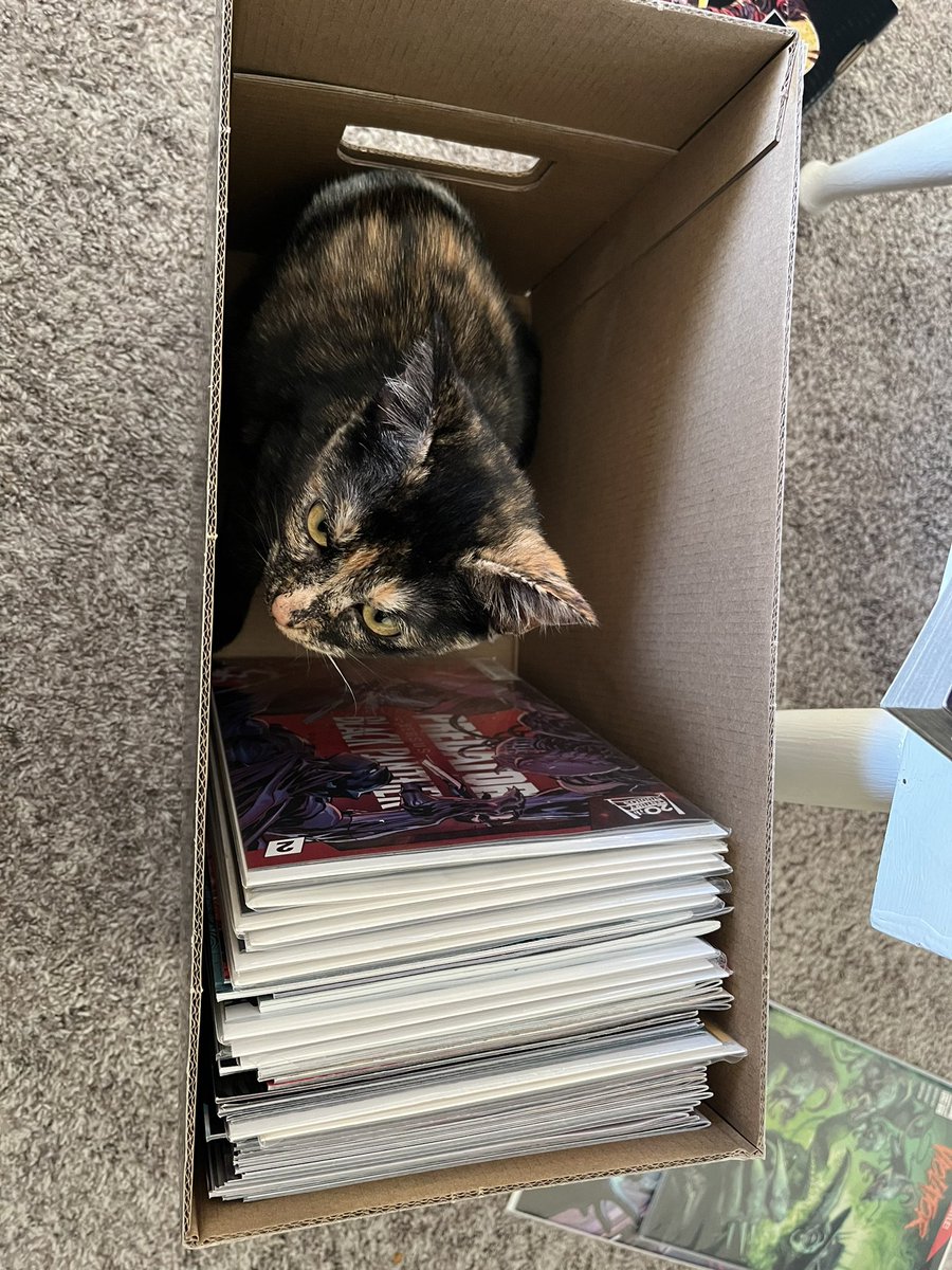 Someone is trying to help me store my comics 🤣