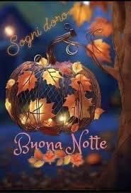 RITABIANCHi56 tweet media