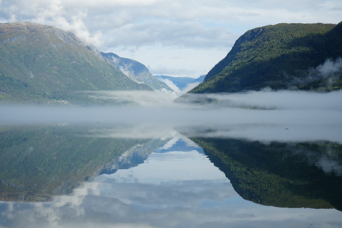 thenottmlass's tweet photo. Ay-up!

No filter needed here! I captured this last year in Norway, and the mist over the fjord with the mountain reflection made it one of the most peaceful scenes I’ve ever seen! 💚 https://t.co/AqbRzOKfYq