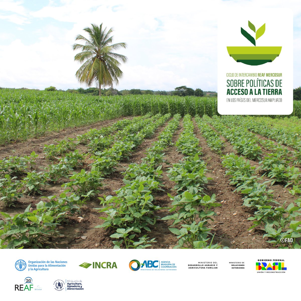 📢La desigualdad en el acceso a la tierra es un obstáculo estructural para el desarrollo sostenible 🌿 de la región 🌍. Por ello es necesario un diálogo amplio e inclusivo para mejorar sus marcos políticos y jurídicos 🏛️ de tenencia de la tierra. #MejorVida