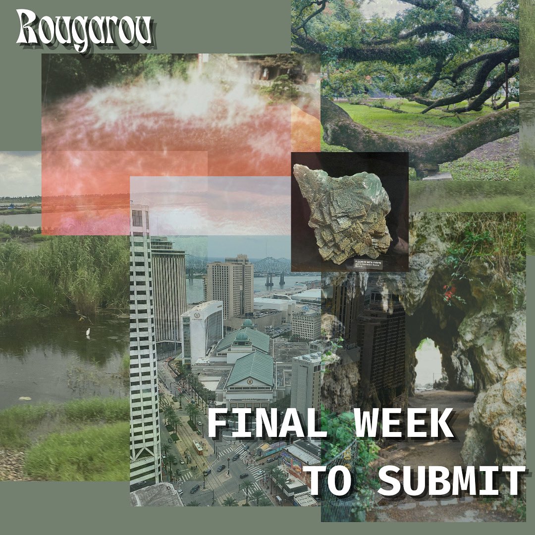 There are a few days left in November and a few days left to submit!

We are accepting Poetry, Fiction, and Creative Non-Fiction until December 1st.

Link to submit in Bio.