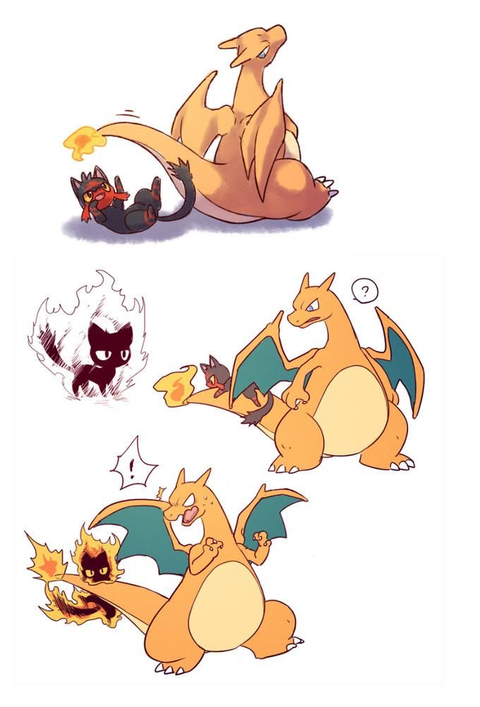 RelentlessZard's tweet image. The little things might surprise you.
#pokemon #litten #nintendo #charizard #charfam #anipoke