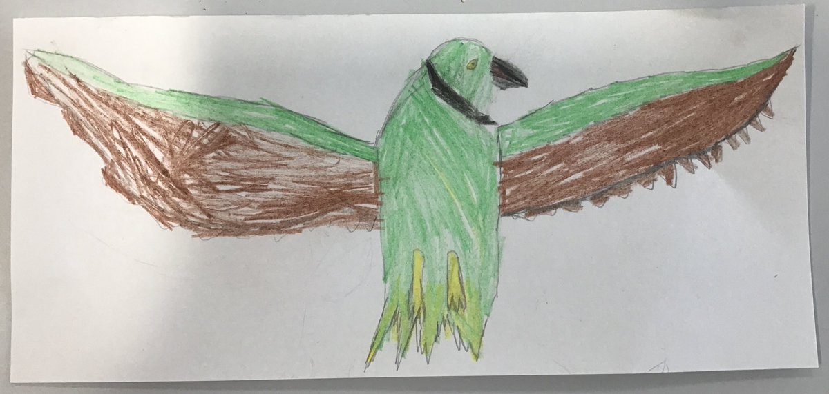 NerrolsOak (@nerrolsoak) on Twitter photo 