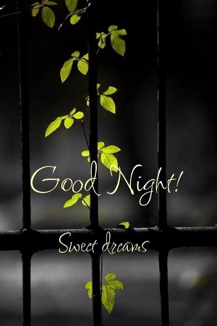 Have a great night all 
शुभ रात्रि 

आपकी रात मंगलमय हो दोस्तों 
#GoodNightTwitterWorld
