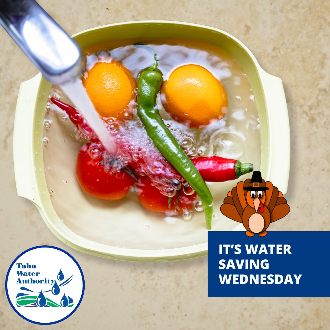It's #WaterSavingWednesday!

As you prepare your Thanksgiving dinner, wash fruits and vegetables in a bowl or pan. You can then use the leftover water to water your house plants. For more water-saving tips this holiday season, head to the link in our bio!