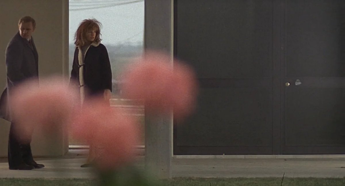 ma_dcat's tweet photo. Letterboxd top 4 https://t.co/JFIqOsaejO