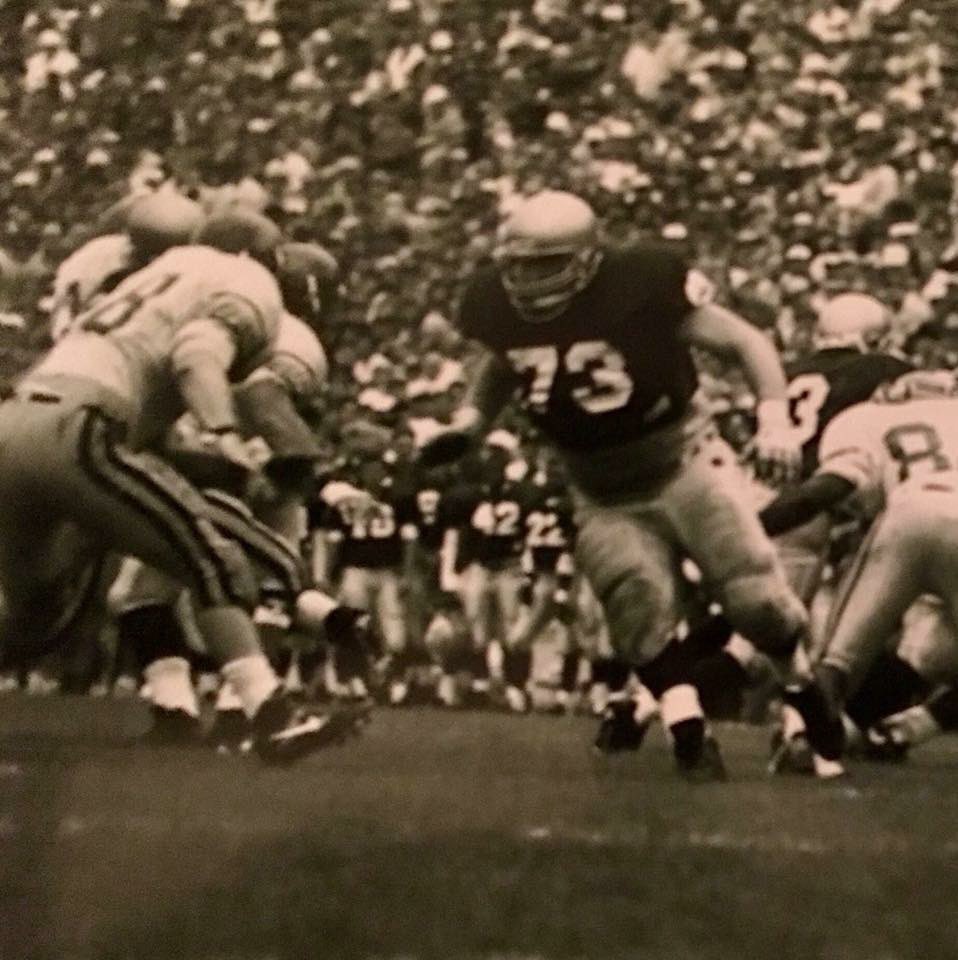 ❤️ 💛 🍀 #73